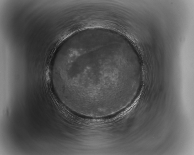 X0000097891497200803211345