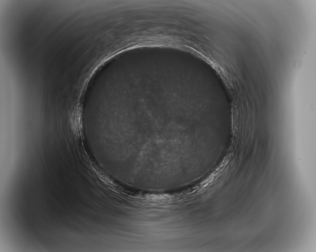 X0000097891498200803211345