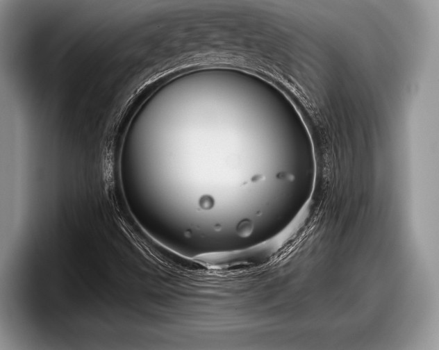 X0000097891499200803211345
