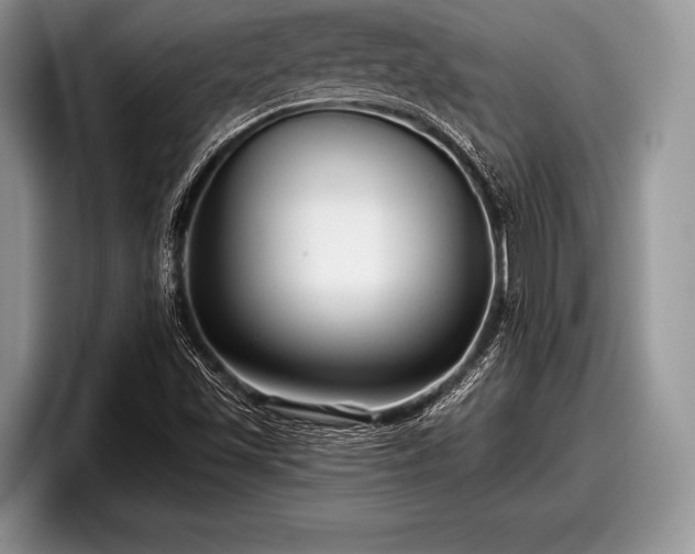 X0000097891501200803211345