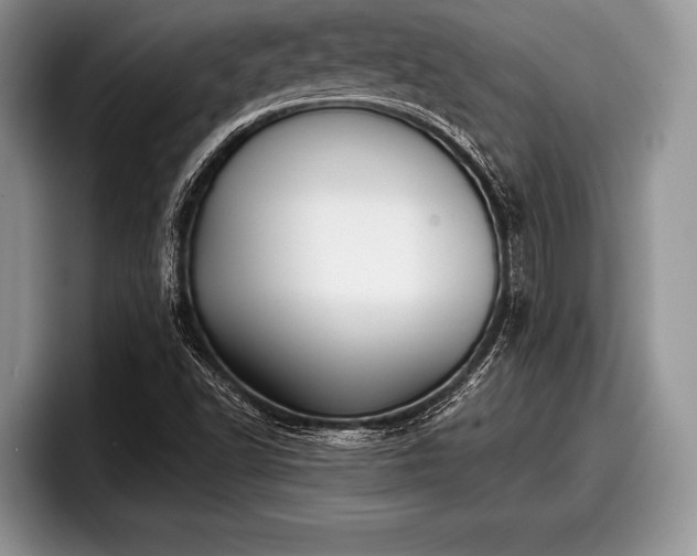X0000097891502200803211345