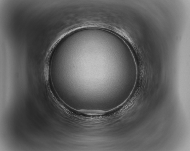 X0000097891504200803211345