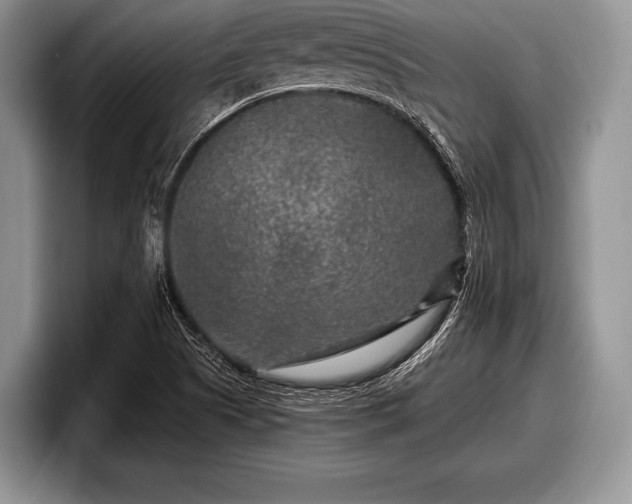 X0000097891505200803211345