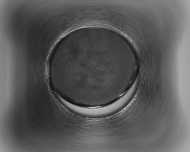 X0000097891506200803211345