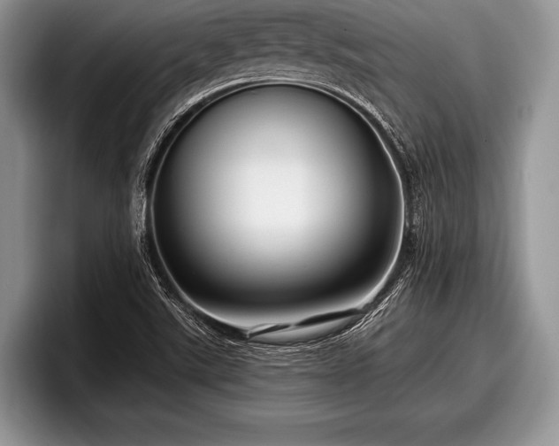 X0000097891507200803211345