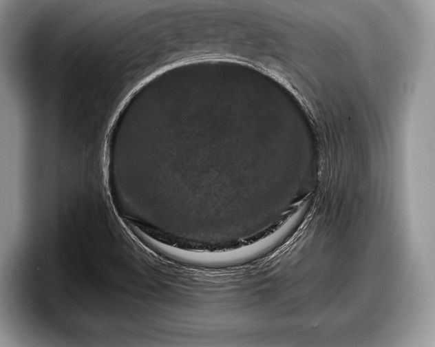X0000097891508200803211345