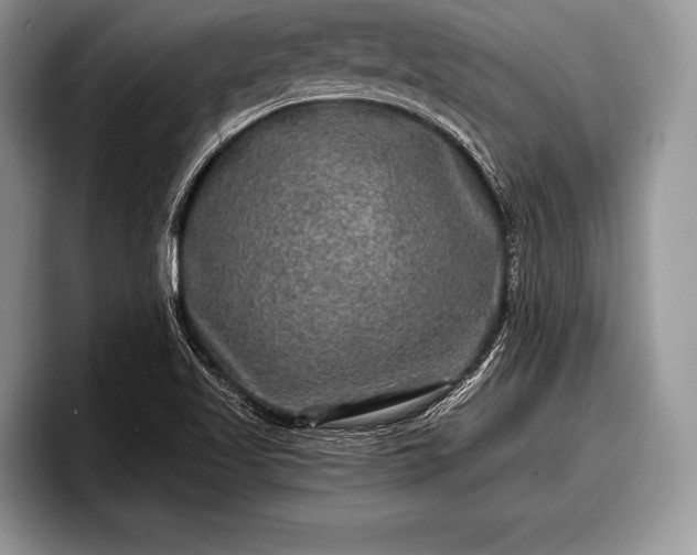 X0000097891509200803211345