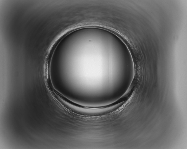 X0000097891510200803211345