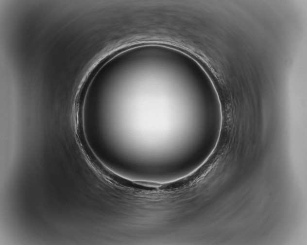 X0000097891511200803211345