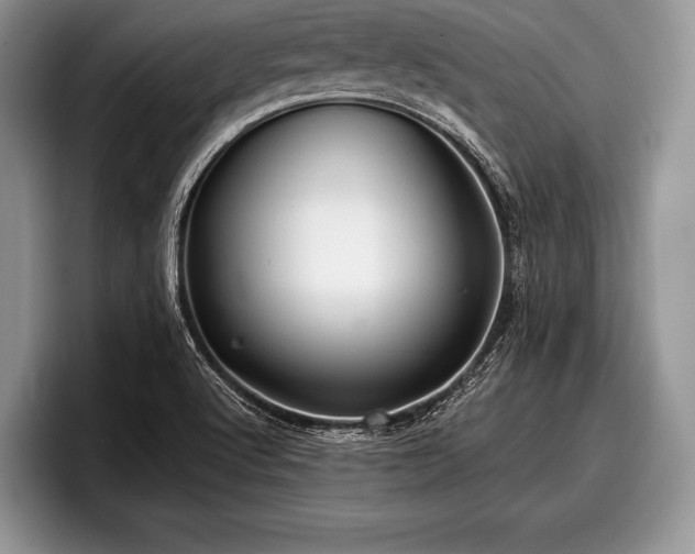 X0000097891512200803211345