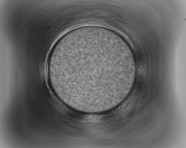 X0000097891514200803211345