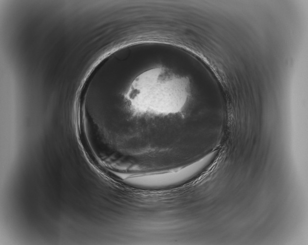 X0000097891515200803211345