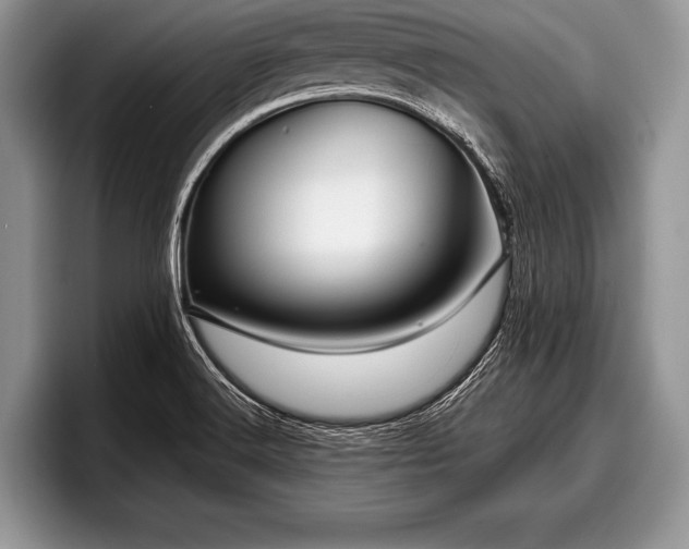 X0000097891516200803211345