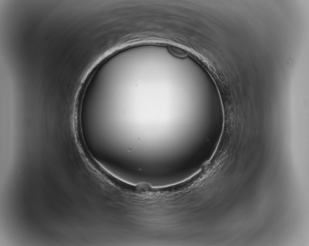 X0000097891518200803211345