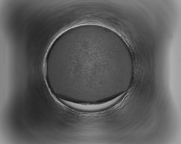 X0000097891519200803211345