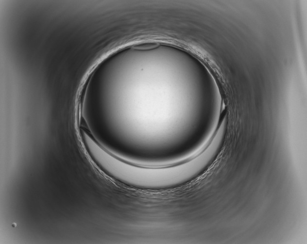 X0000097891520200803211345
