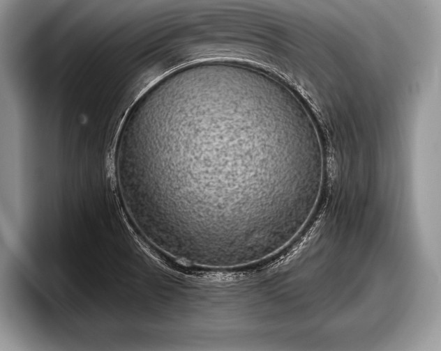 X0000097891521200803211345