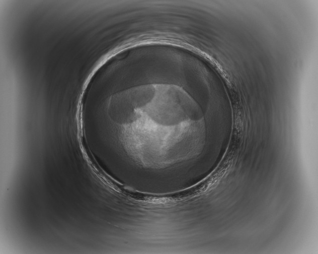 X0000097891522200803211345