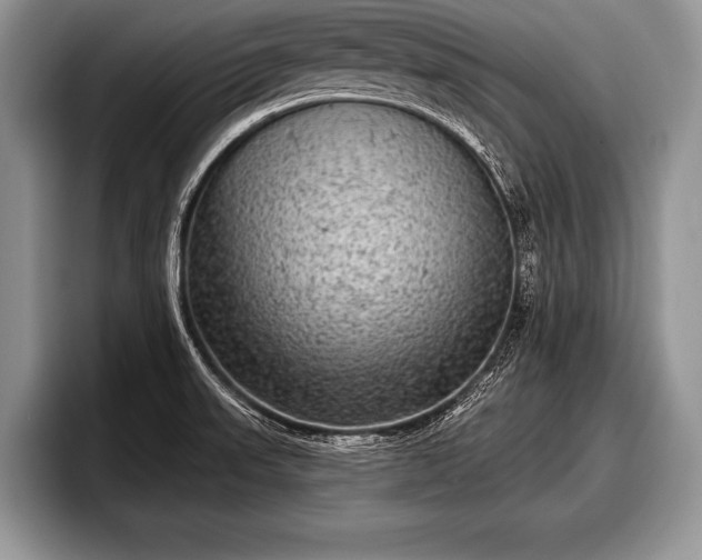 X0000097891523200803211345