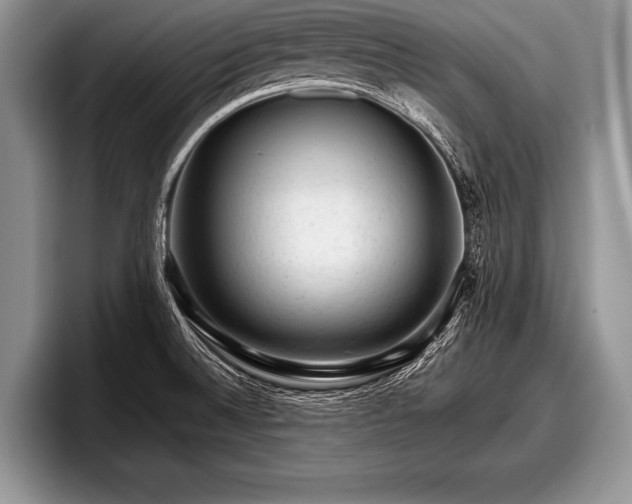 X0000097891524200803211345
