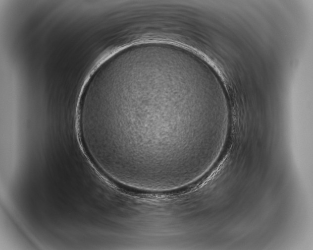 X0000097891525200803211345