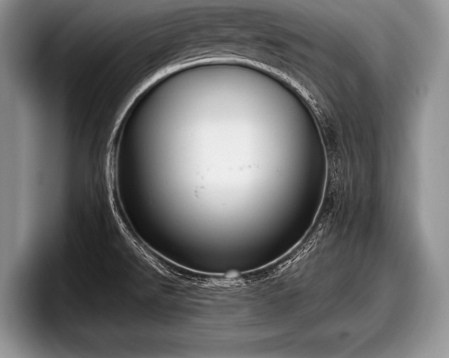 X0000097891526200803211345