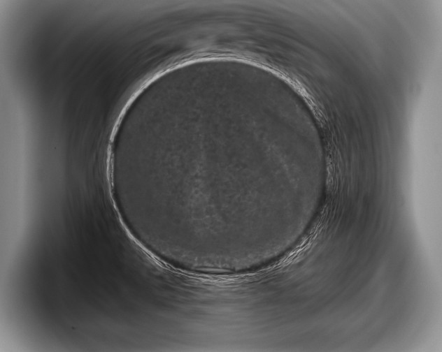 X0000097891527200803211345