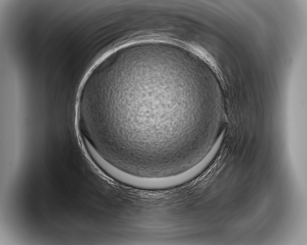 X0000097891528200803211345