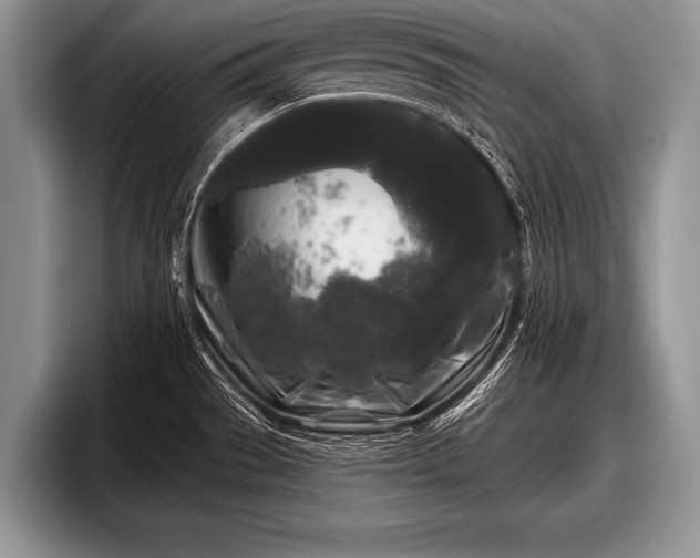 X0000097891529200803211345