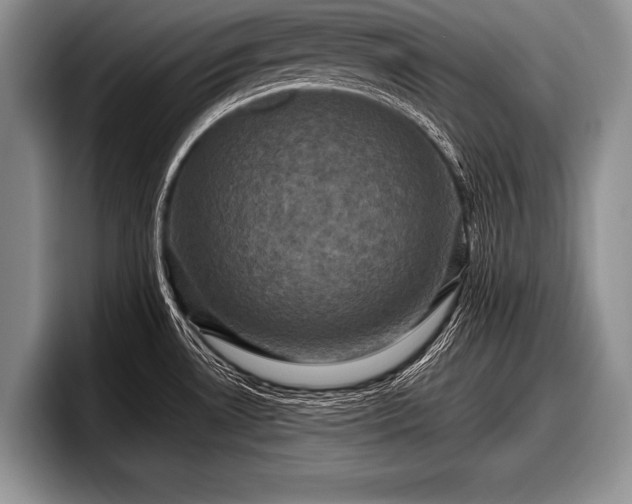 X0000097891530200803211345