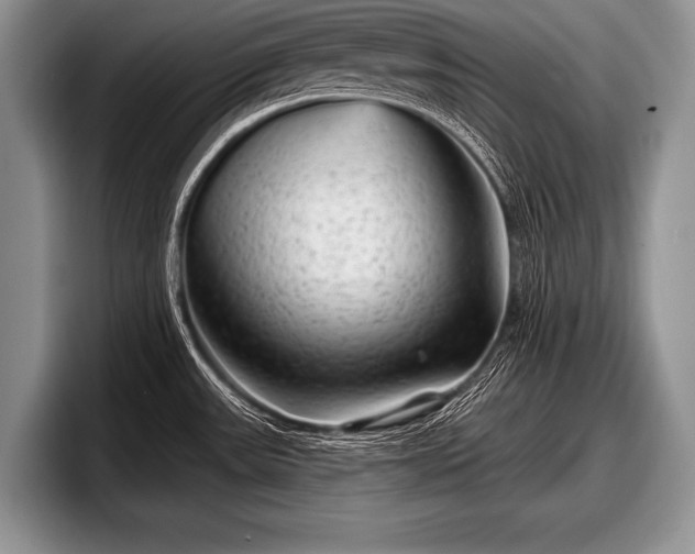 X0000097891531200803211345