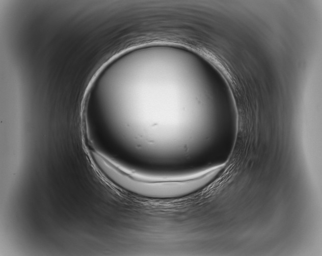 X0000097891532200803211345