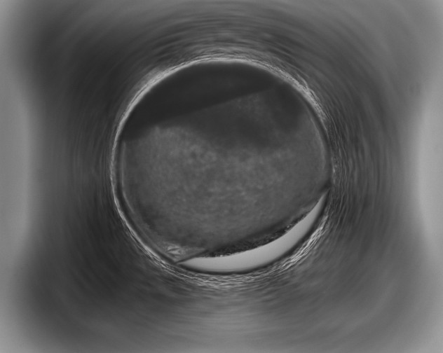 X0000097891533200803211345