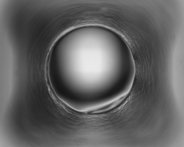 X0000097891534200803211345