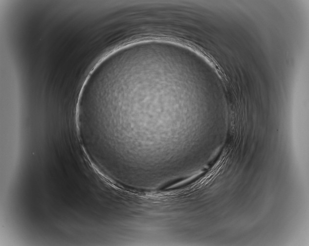 X0000097891535200803211345