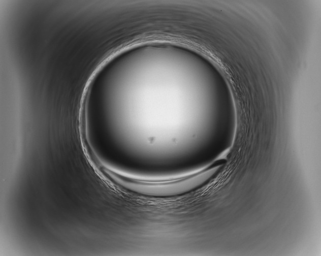 X0000097891536200803211345