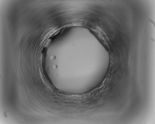 X0000097890001200803281256