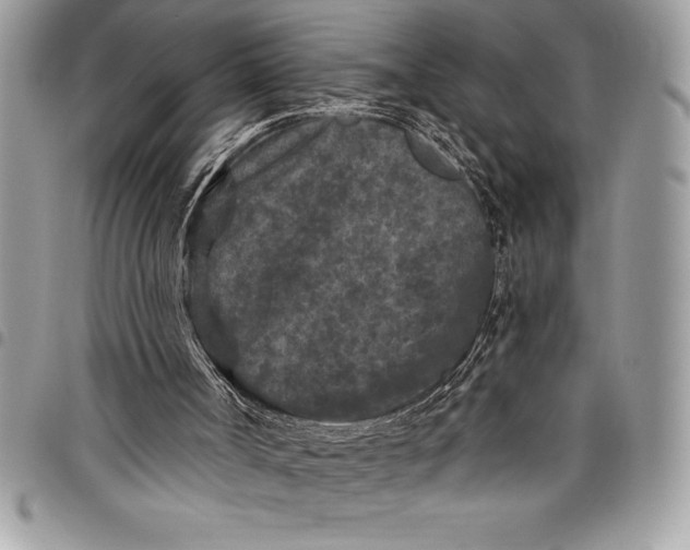 X0000097890002200803281256