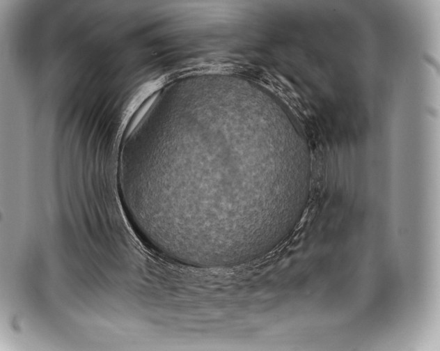 X0000097890003200803281256