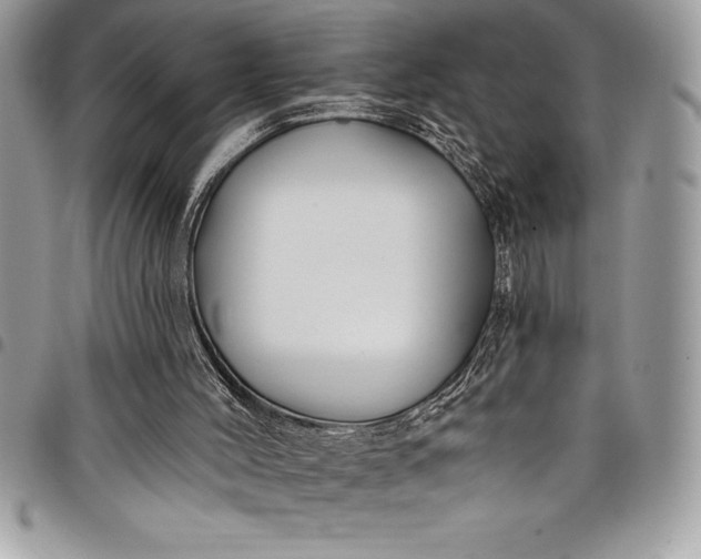 X0000097890004200803281256