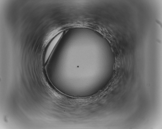 X0000097890005200803281256