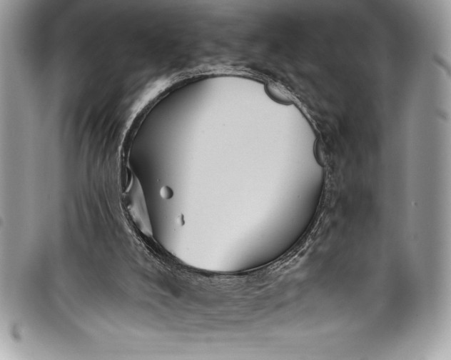 X0000097890008200803281256