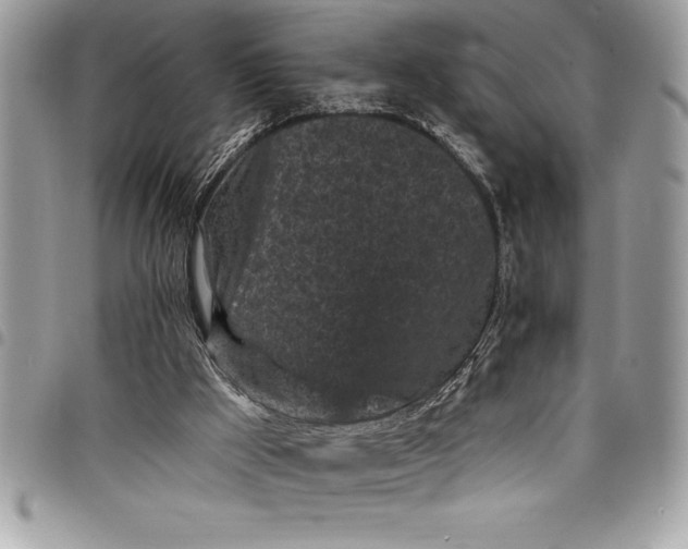 X0000097890009200803281256