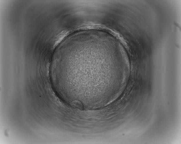 X0000097890010200803281256