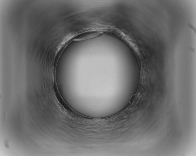 X0000097890011200803281256