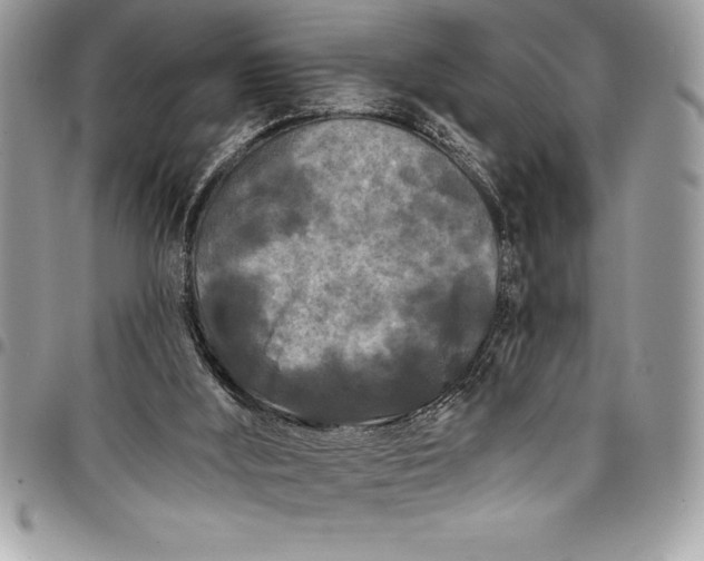 X0000097890012200803281256