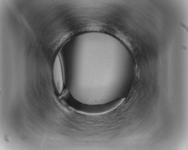 X0000097890013200803281256