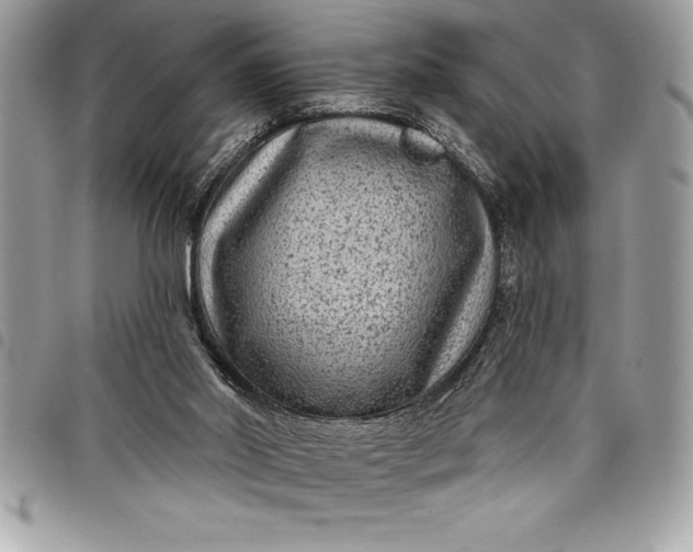 X0000097890014200803281256