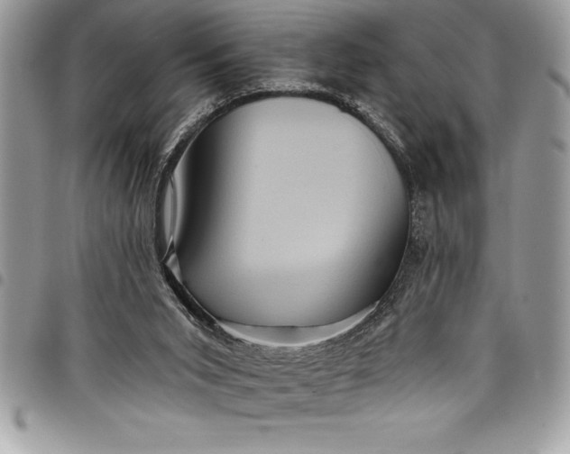 X0000097890015200803281256