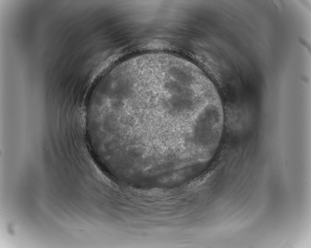 X0000097890016200803281256